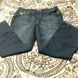 Earl Jean women's boot cut jeans size 12